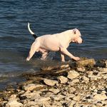 Donald Anson - @danson1949 - Instagram