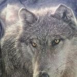 Donald Carney - @donald.carney.52 - Instagram