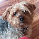 Donald Aronson - @aronsondonald - Instagram