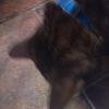 donald.ash449 - @donald.ash449 - TikTok