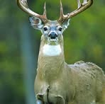 Don Ashbaugh - Facebook