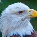 Donald G Ashbaugh - @ashbaughdonald - Instagram