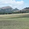 donaldrashmorejr - @neonwhiteboiii - TikTok