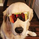 donald atwell - @datwell10 - Instagram