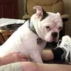 Donald Ault - @donald.ault - TikTok