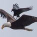 Donald Barham - Facebook