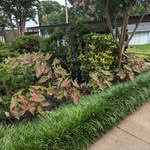Donald Barham Jr - @donaldbarhamjr - Instagram