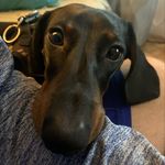 Mr. Donald Barkley - @djdoxiedazzledon - Instagram