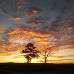 Donald Bartley - @donald.bartley.5851 - Instagram