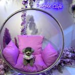 Donald Bay Wong - @donald_bay - Instagram