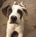 Donald Beam - Facebook
