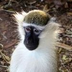 Donald Beam - @donald_beam - Instagram
