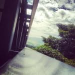 Donald Beaty - @wireflaysi - Instagram