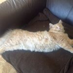 Donald Beaudry - @beaudry1012 - Instagram