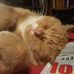 Donald Berkey - Facebook