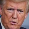 Donald Berlin - @donaldtrumpfan666 - TikTok