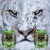 Donald Bertrand - Facebook