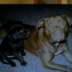 Donald V. Bess - @donaldv.bess - Instagram