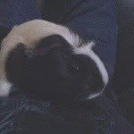 Donald Betts - @betts.don80 - Instagram