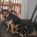 Donald Beesmer - Facebook