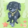 sparky - @donaldbiederman7 - TikTok