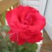 Don Binette - Facebook