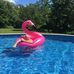 Donald Binette - Facebook