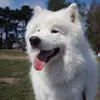 Donald Birrell - @donald.birrell058 - TikTok