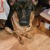 Don Bittner - Facebook