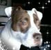 Donald Bittner - Facebook