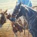 Donald Bittner - Facebook