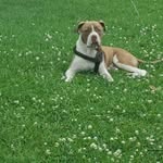 Donald Blanchard - @donald.blanchard.79 - Instagram