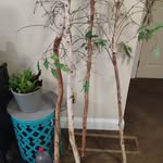 Donald Leblanc - @donald.leblanc.75054 - Instagram