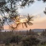 Don Trumbly - @donaldtrumbly - Instagram