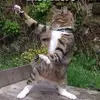 Don Bolen - @don.bolen - TikTok