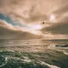 donaldbolender - @donaldbolender - TikTok