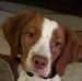 Don Bolinger - Facebook