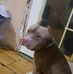 Donald Bolinger - Facebook