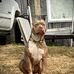 Donald Bolinger - Facebook
