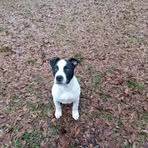 Donald Bonds - Facebook