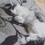 @don_aldboss - Instagram