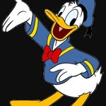 Donald boss - @boss.donald - Instagram