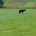 Donald Boutin - Facebook