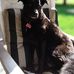 Don Brehm - Facebook