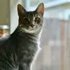 donaldbright32 - @donald.bright0 - TikTok