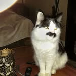Donald Bryce - @farmerdonny3300 - Instagram