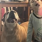Donald Buckley Jr. - @tri_county_k9_assoc_inc_ - Instagram
