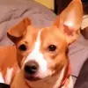 donaldbuffington4 - @donaldbuffington4 - TikTok