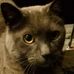 Donald Bundy - Facebook