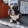 Donald Burroughs - @donald.burroughs - TikTok